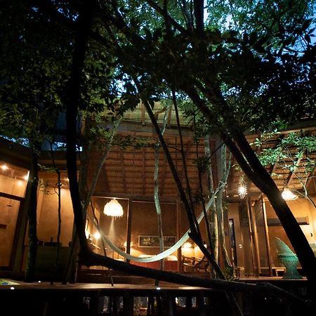Ojo De Arbol, Boutique Cabin In The Real Jungle Тулум Екстериор снимка