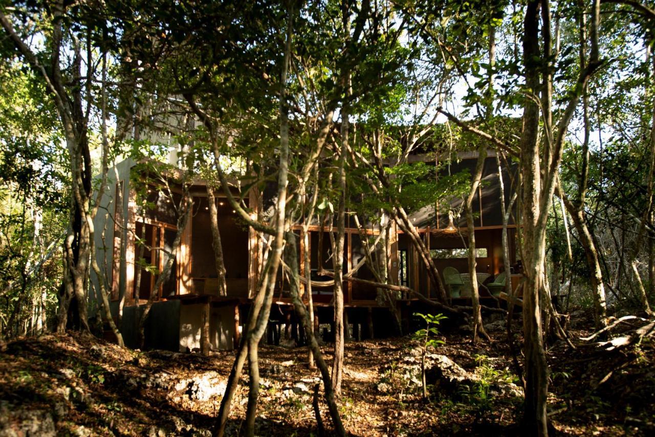 Ojo De Arbol, Boutique Cabin In The Real Jungle Тулум Екстериор снимка