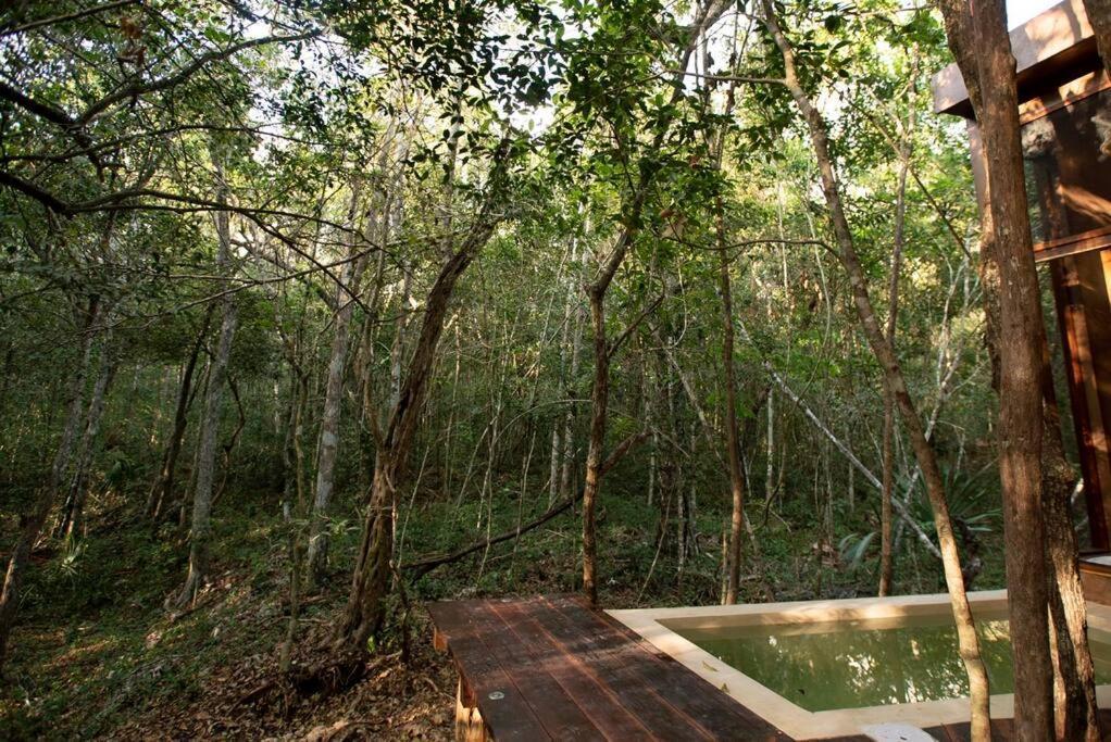 Ojo De Arbol, Boutique Cabin In The Real Jungle Тулум Екстериор снимка