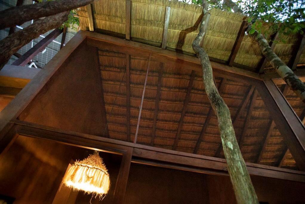 Ojo De Arbol, Boutique Cabin In The Real Jungle Тулум Екстериор снимка