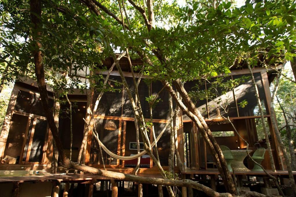 Ojo De Arbol, Boutique Cabin In The Real Jungle Тулум Екстериор снимка
