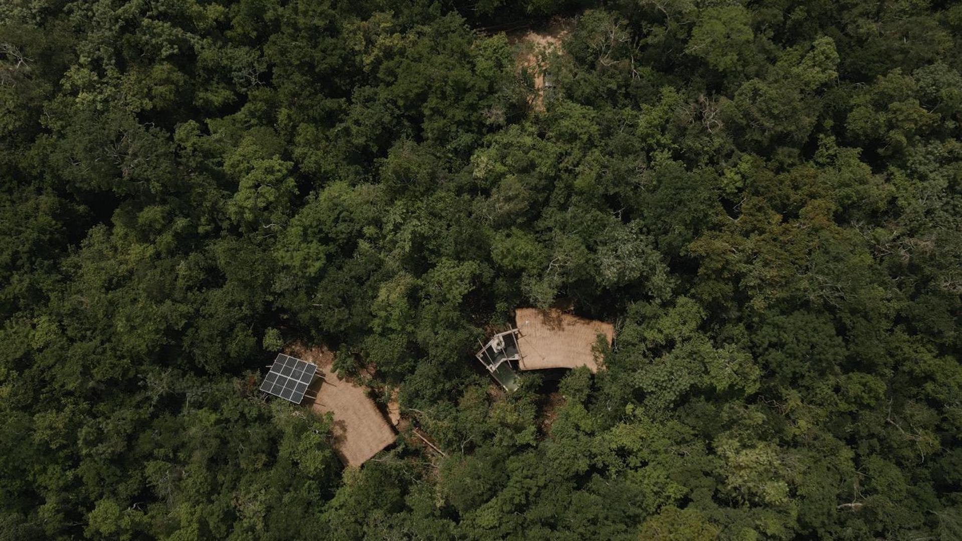 Ojo De Arbol, Boutique Cabin In The Real Jungle Тулум Екстериор снимка